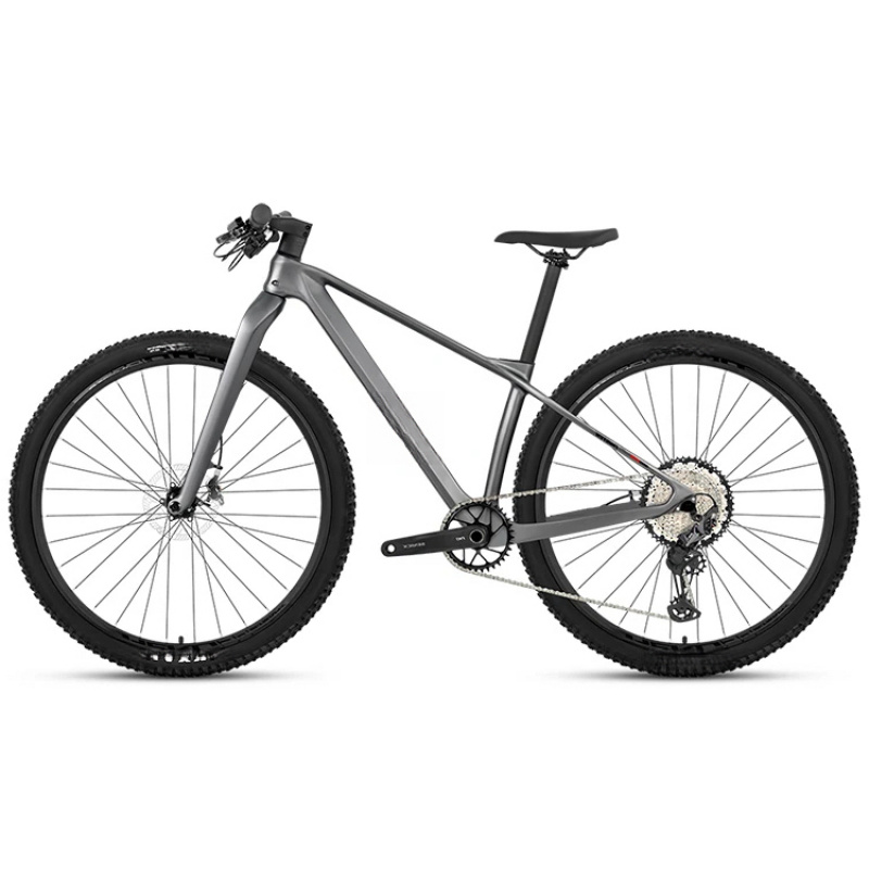 Mountain Biking Equipment - 특별 할인: 저렴한 카본 파이버 산악자전거(XT/M8100